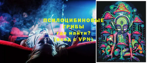 спиды Алексеевка